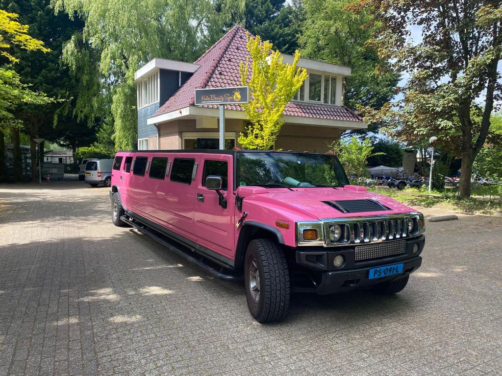 Molimo Hummer H2 roze Limousine Delft
