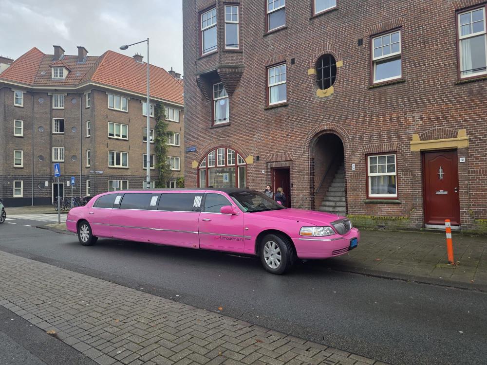 Molimo roze Lincoln Limousine