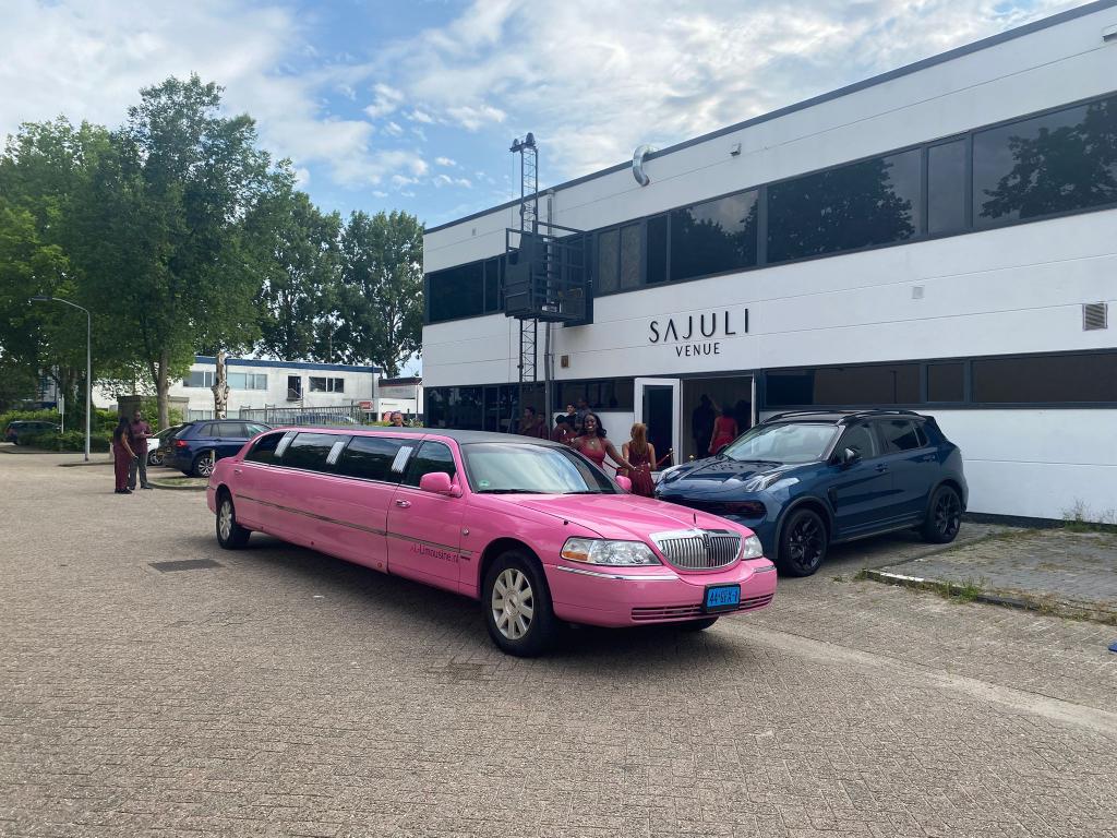 Molimo - roze Lincoln Limousine