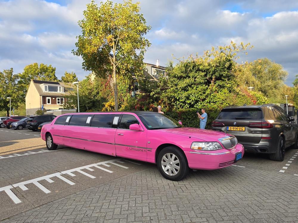 Molimo Lincoln roze Limousine