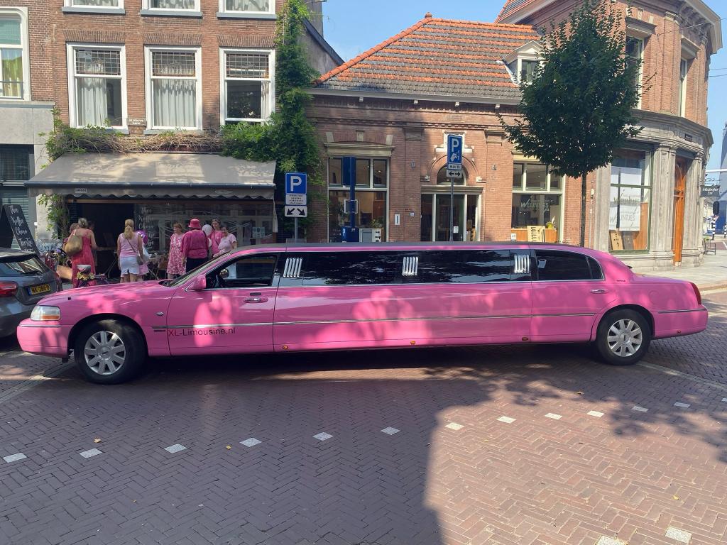 Molimo Lincoln roze Limousine