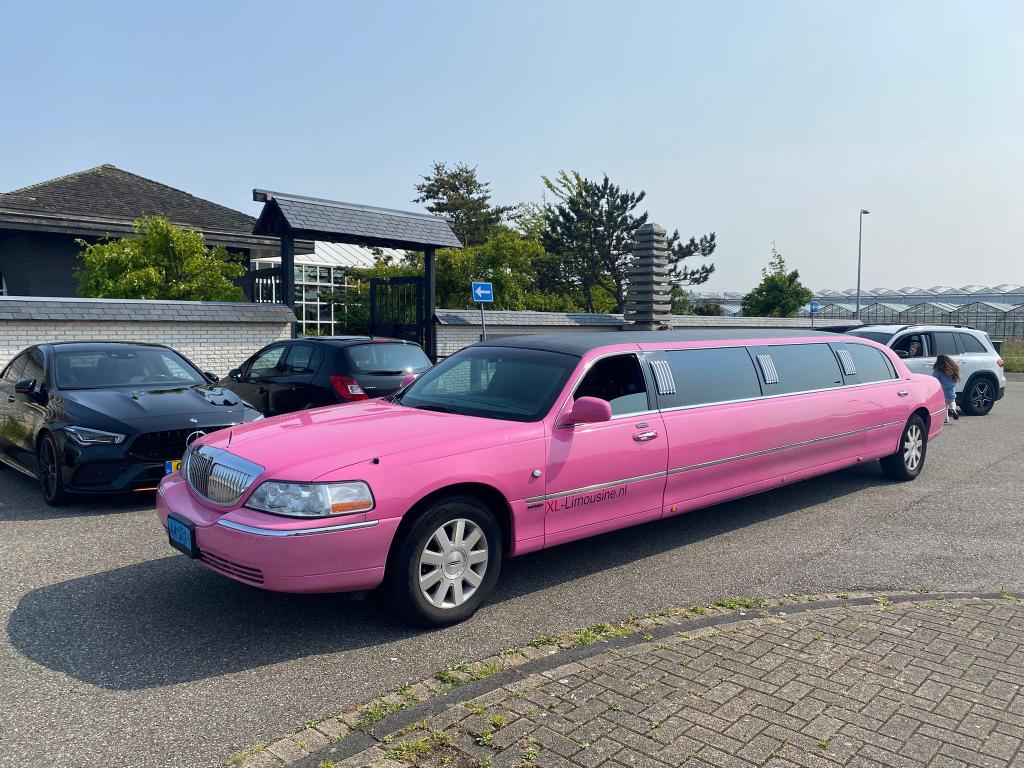 Molimo Lincoln roze Limousine Enschede