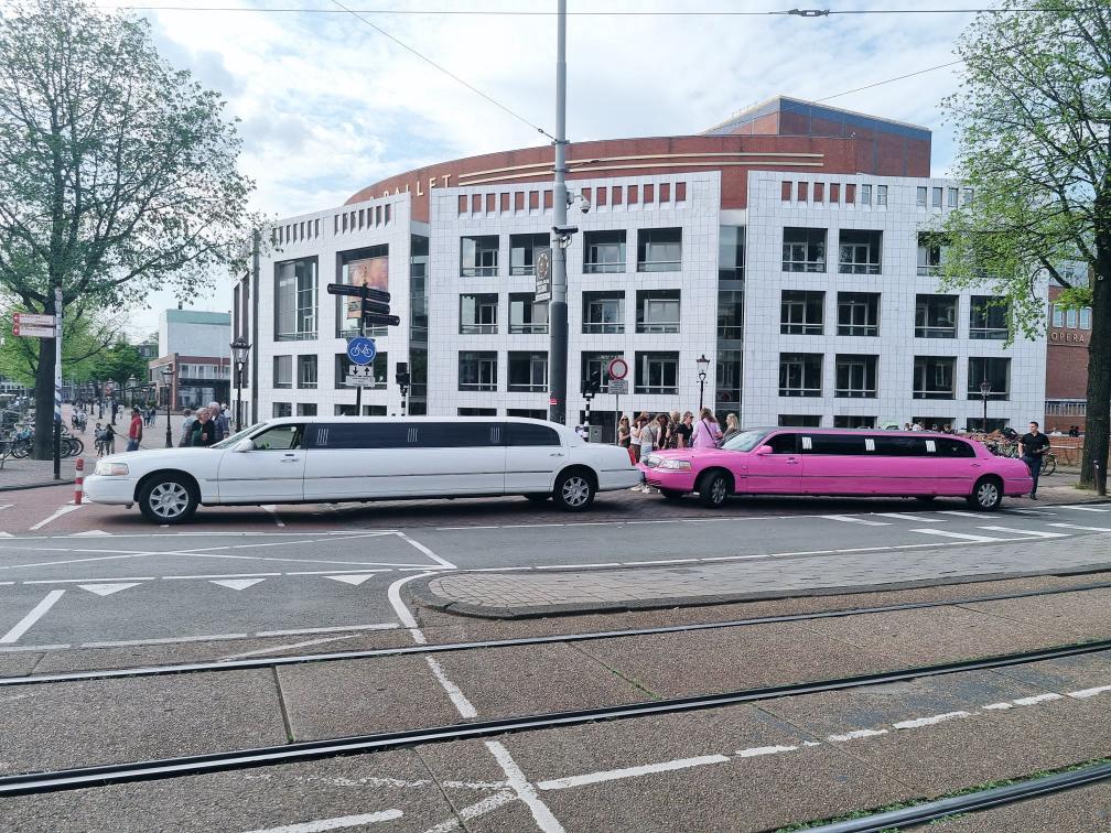 Molimo Limousines wit en roze