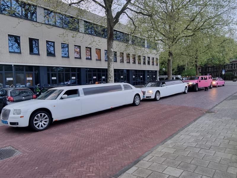 Molimo Limousines