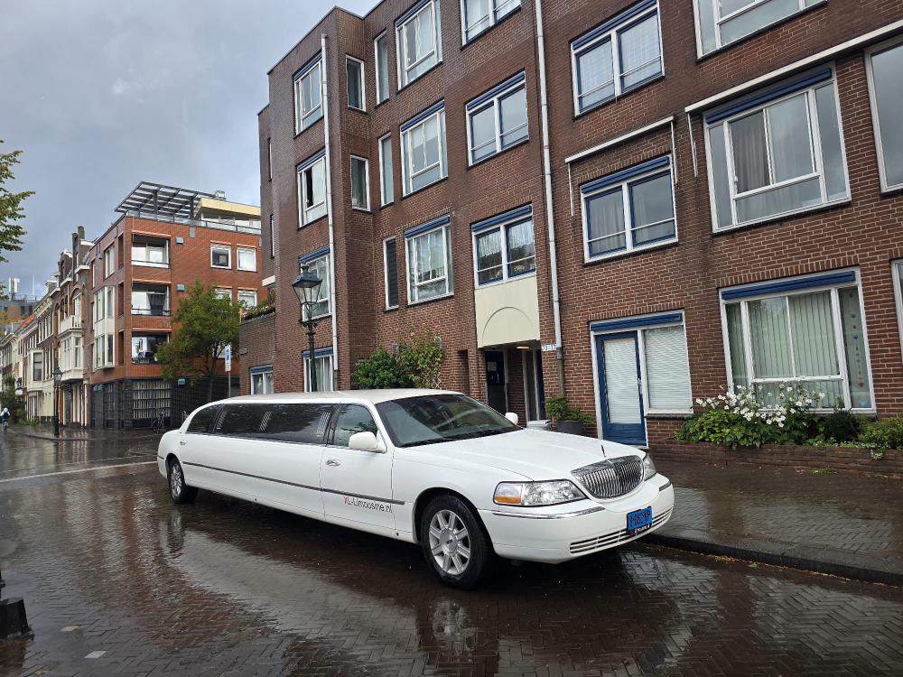 Lincoln limousine wit - Molimo