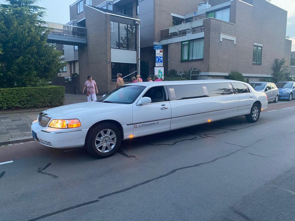 Lincoln limousine wit - Molimo