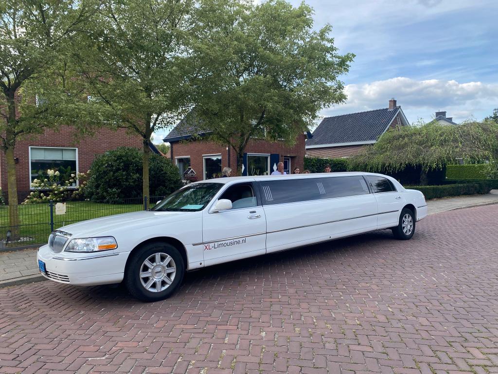 Lincoln limousine wit - Molimo